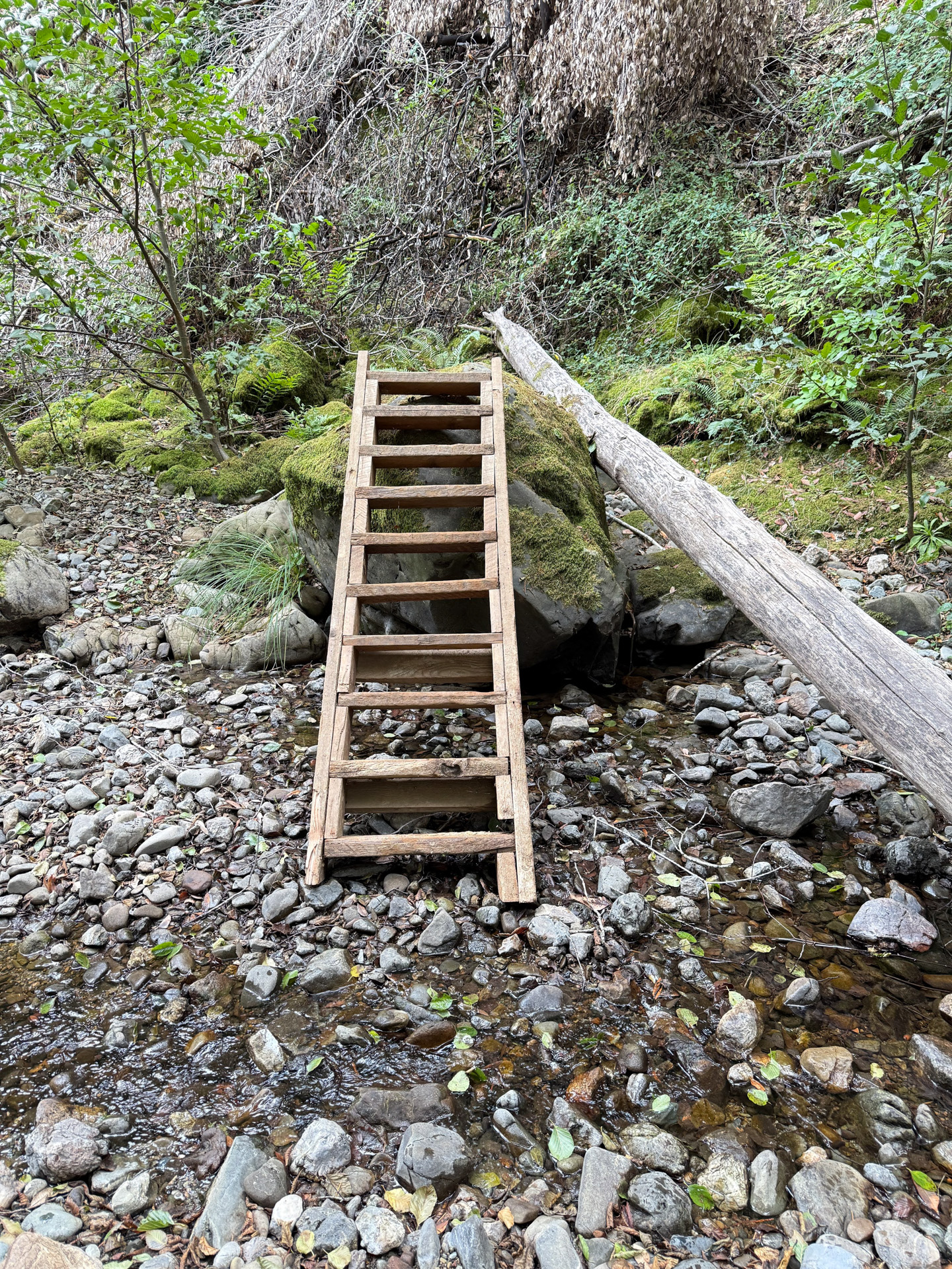 Wooden ladder art piece over creek