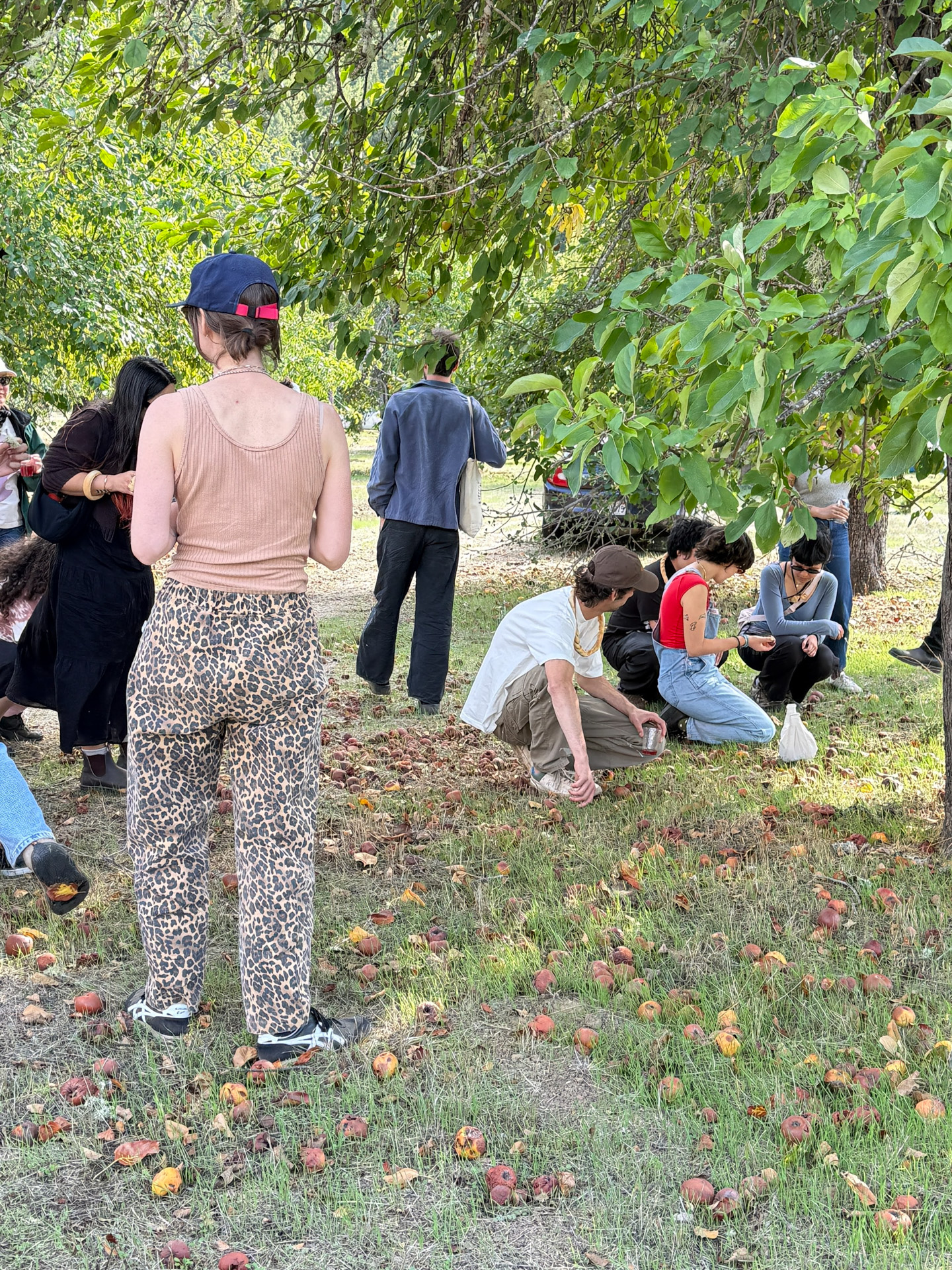Community gathering at festival