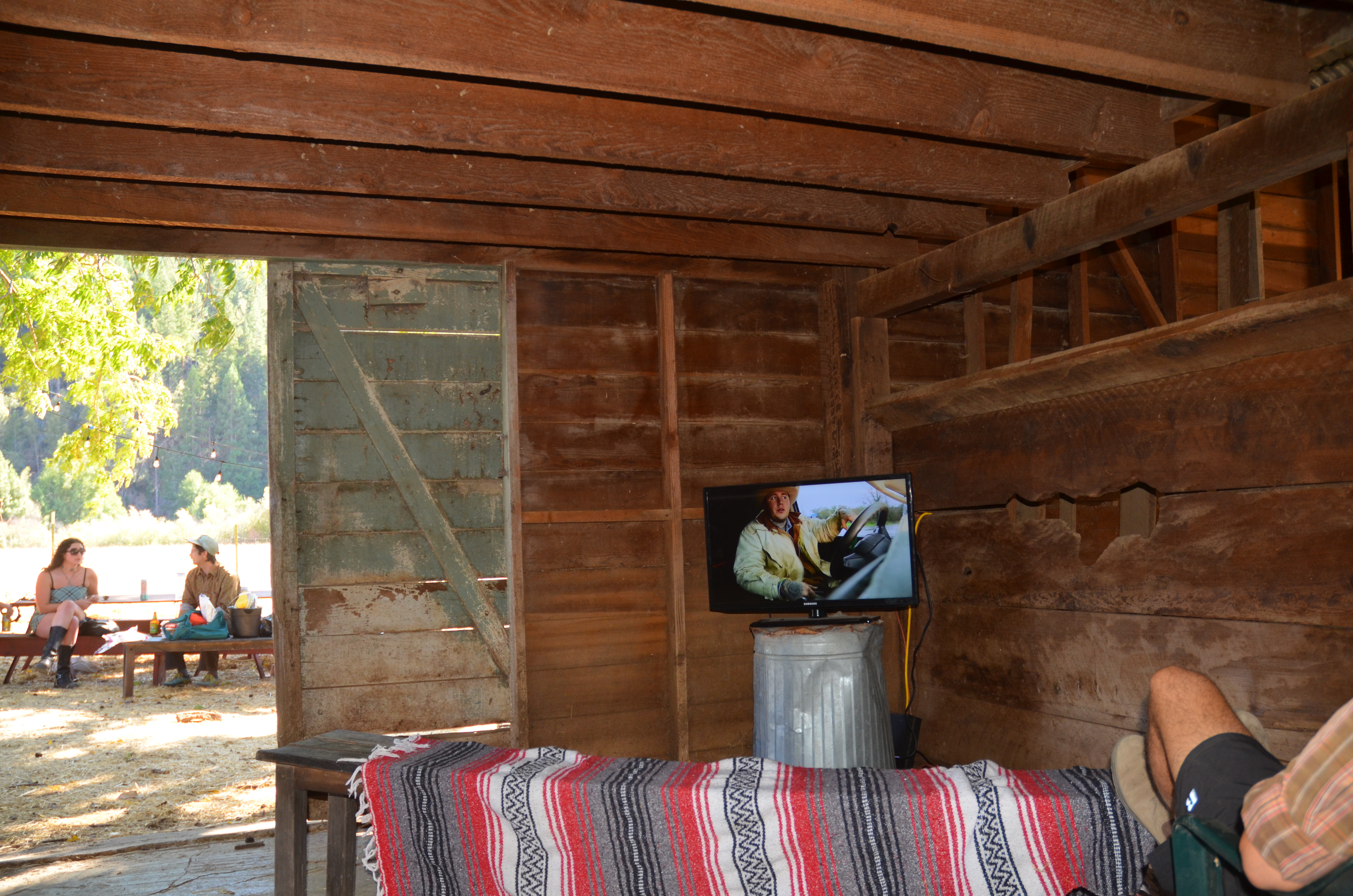 Interactive art installation at Dive Barn 2024