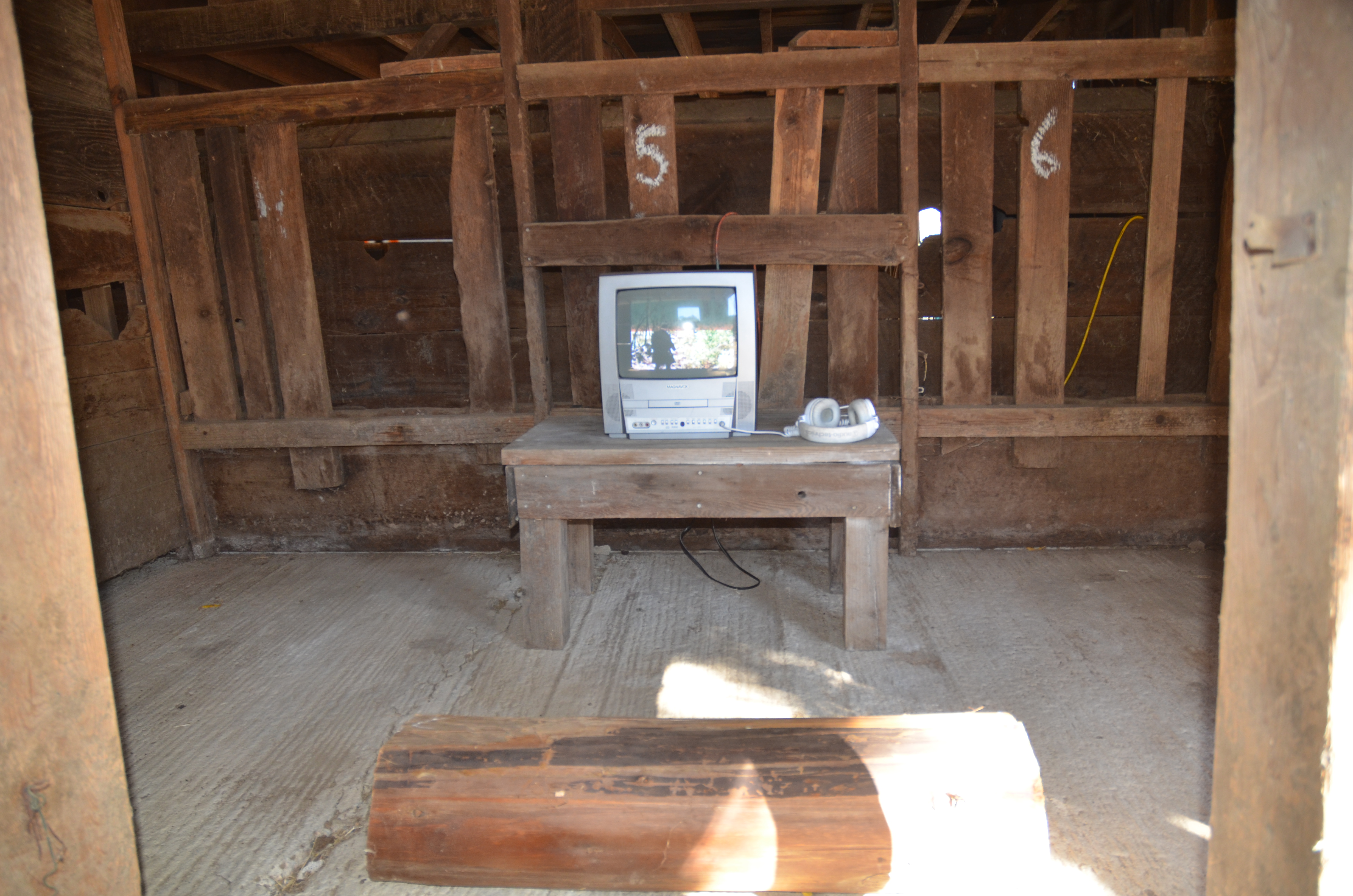 Art installation from Dive Barn 2024