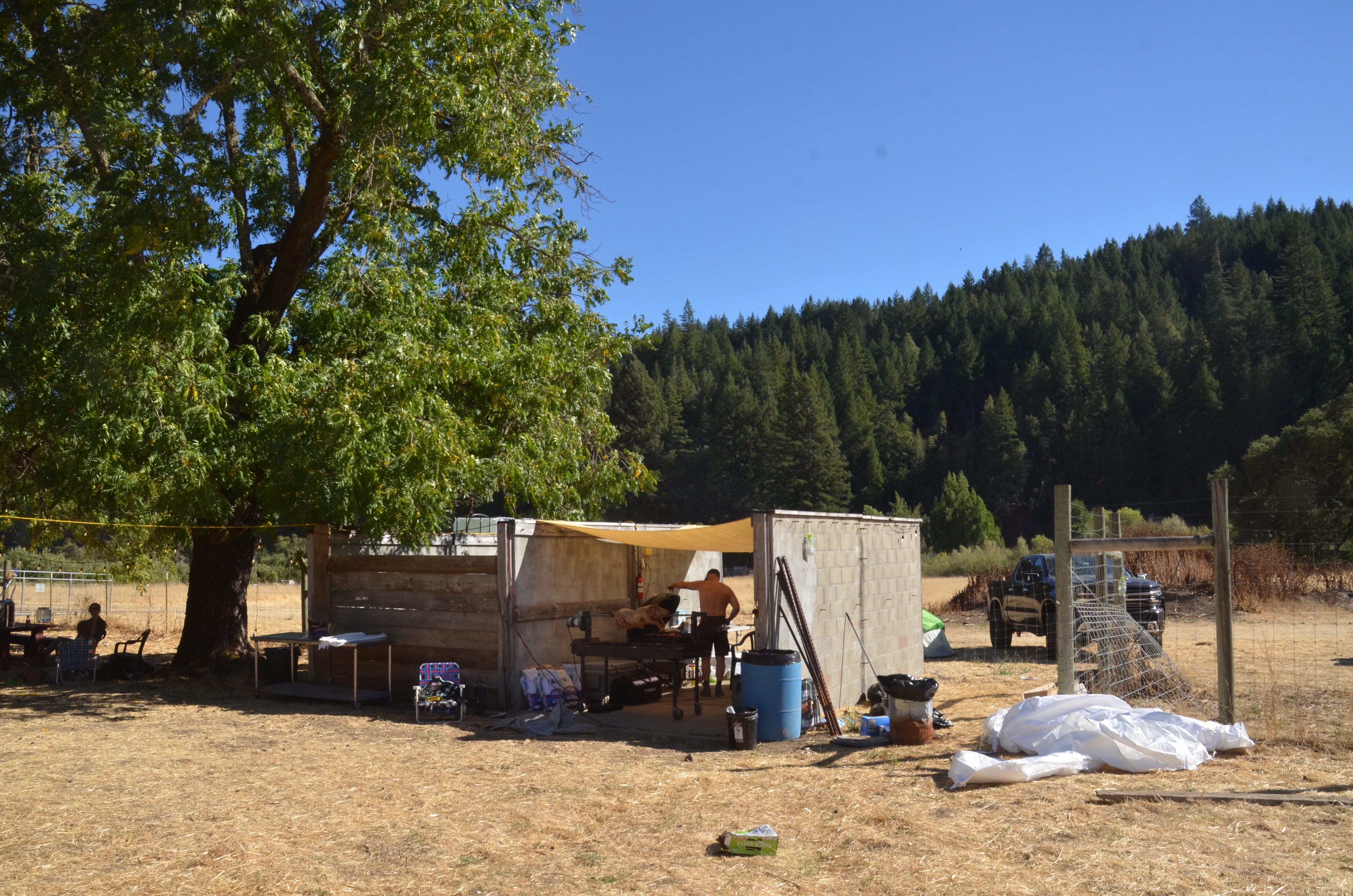 Morning camping scenes from Dive Barn 2024